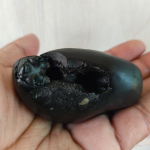 Natural Laxmi Narayan Shaligram Shila Real Saligram Nepal Gandaki River