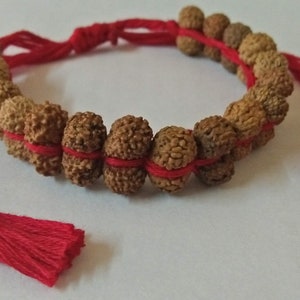 Natural Gauri Gouri Gowri Shankar Rudraksha Bracelet for Wrist in Thread Java Origin beads