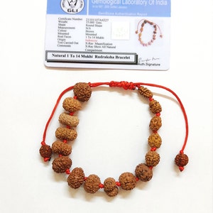 Rudraksha Siddha Armband: 1-14 Mukhi Java Origin