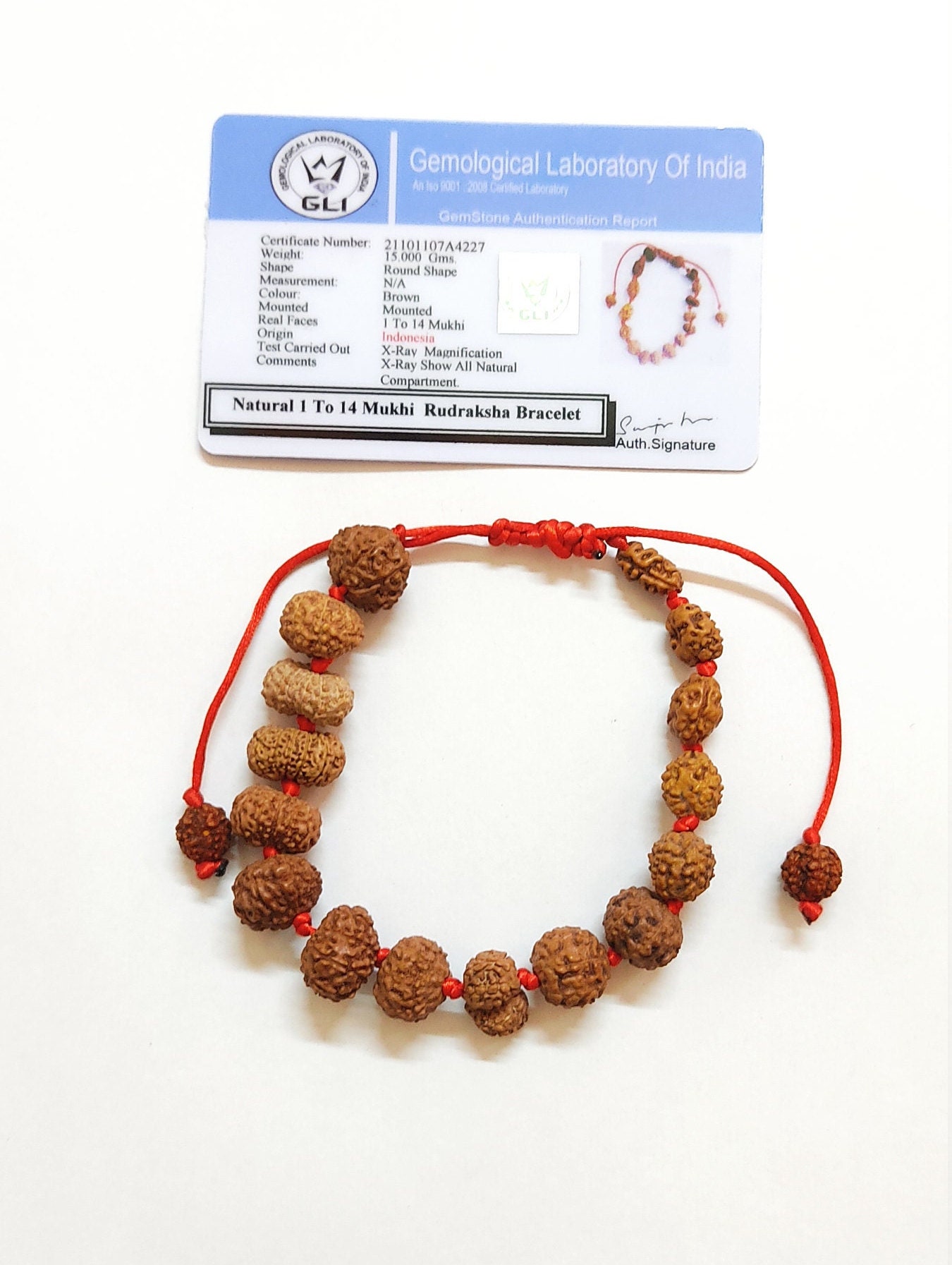 Buy 14 Mukhi Rudraksha Bracelet Maha Bali Hanuman Bracelet 20 Beads Java  Origin Online in India - Etsy