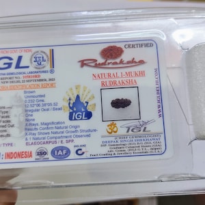 May include: A brown, unmounted rudraksha bead with one face, weighing 0.232 grams. The bead is certified by the IGL (Indraprastha Gemological Laboratories) as a natural 1-mukhi rudraksha. The certificate includes details about the bead's origin, dimensions, and other characteristics.