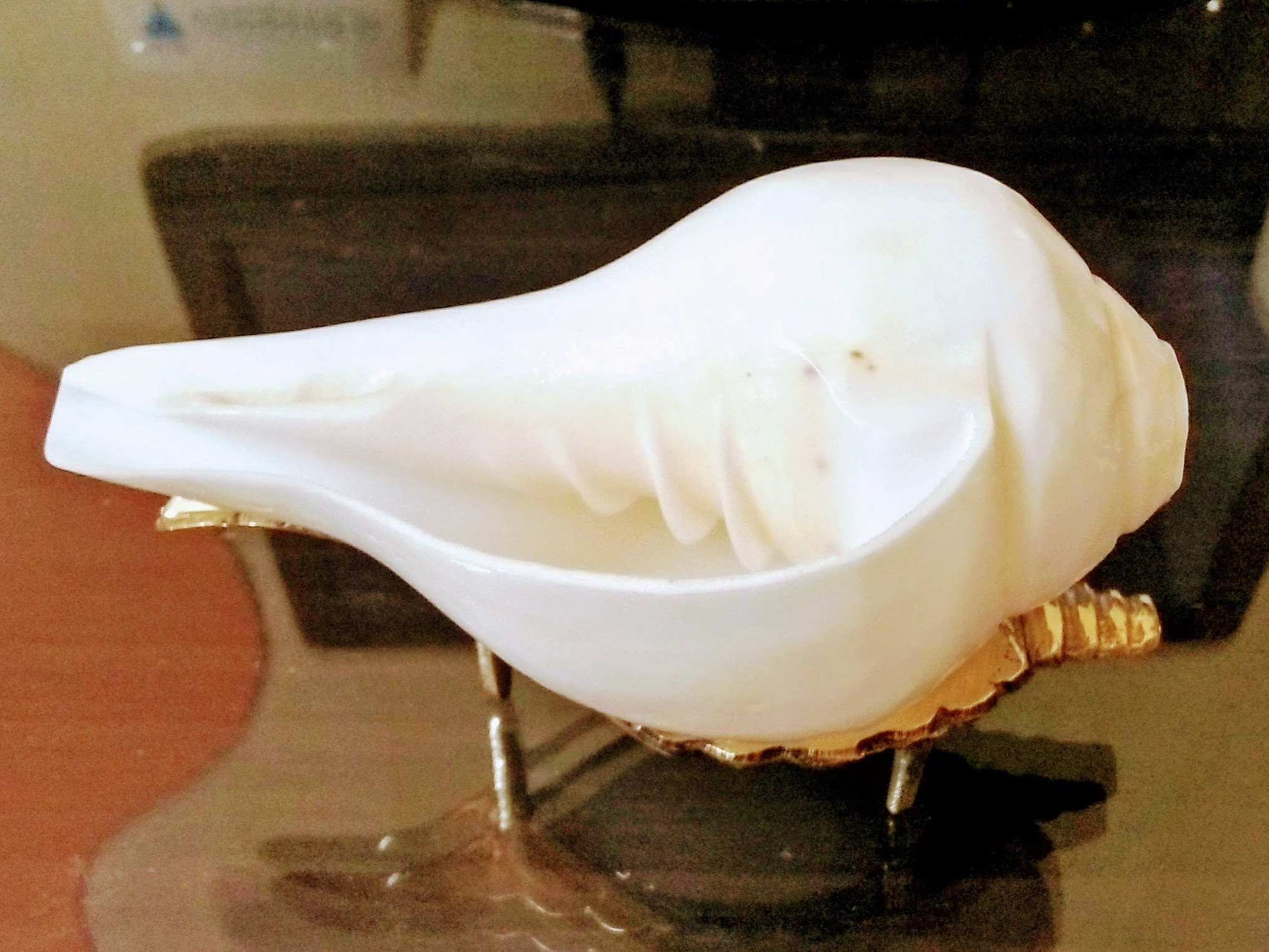 Exclusive Blowing Sound Making Shankha Shankh Conch Shell With