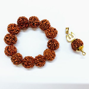 5 Mukhi Rudraksha Armband mit Trishul Pendent Nepal Origin Beads Energized