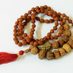 Java Rudraksha Siddha Mala: 1-14 Mukhi, Lab Certified