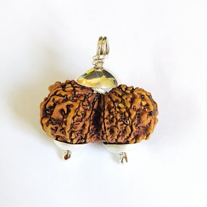 Gauri Gouri Gowri Shankar Rudraksha Pendent Nepal Pure Silver Cap Lab Certified
