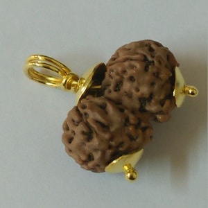 Gauri Gouri Gowri Shankar Rudraksha Pendent Java Origin Lab Certified