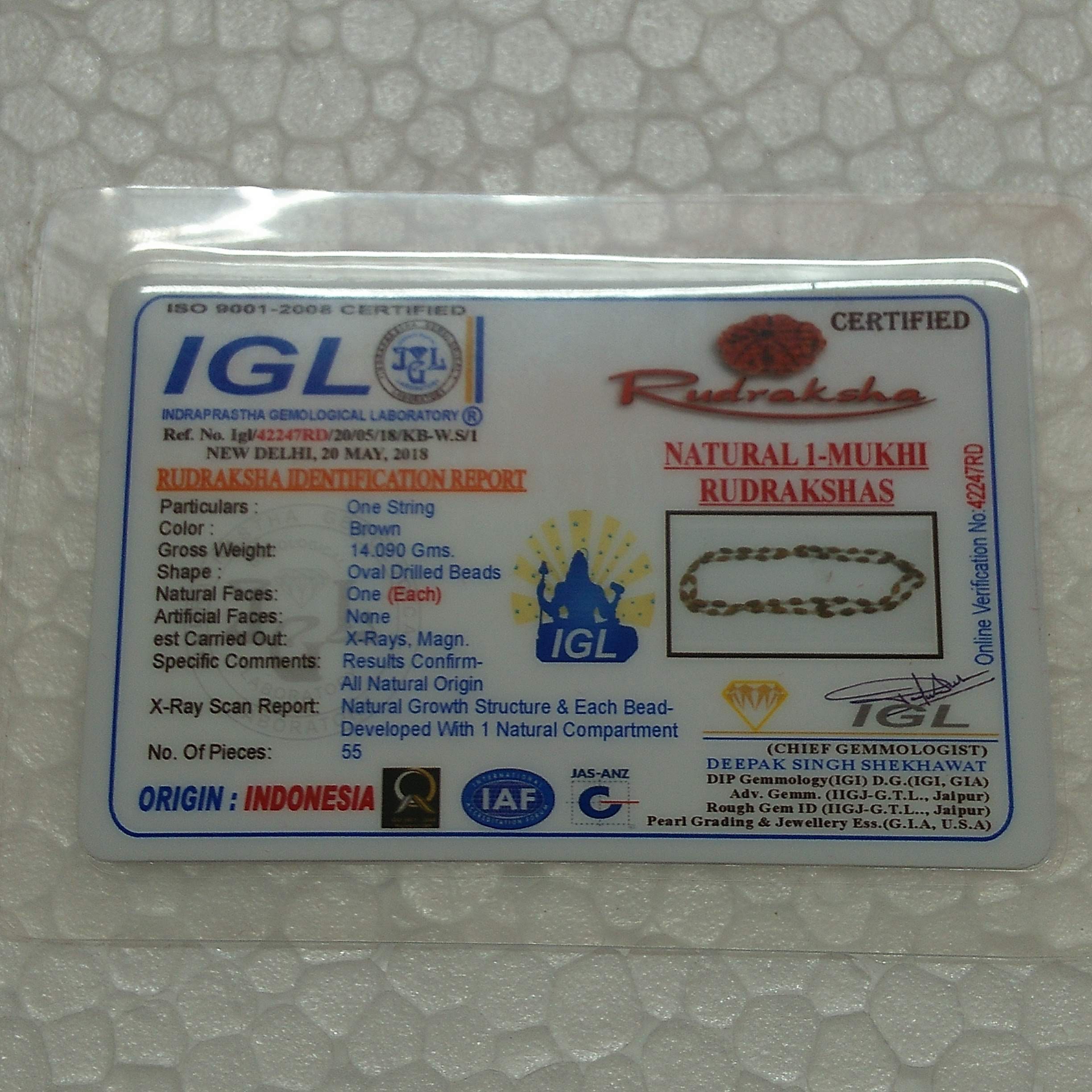 Delhi Fish & Game Club Patch (JAS) Delhi Fish & Game Club Patch (JAS)