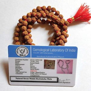 7 Mukhi Rudraksha Mala Mahalaxmi Mala 108+1 Beads 6 mm Beads Size Lab Certified For Yoga Meditation