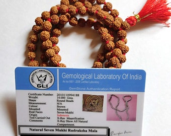 7 Mukhi Rudraksha Mala: Mahalaxmi Beads, Lab Certified (6 mm)