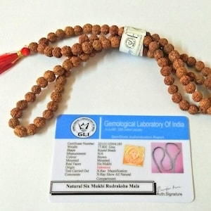 Natural 6 mukhi rudraksha mala Indonesia bead 7 mm lab certified 109 beads