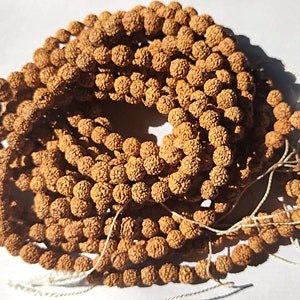 NOT DYED Natural Color Rudraksh Rudraksha Loose Beads 8 mm 980 Beads 5 Mukhi Rudraksha