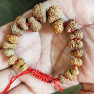 14 Mukhi Rudraksha Armband Maha Bali Hanuman Armband 20 Perlen Java Origin