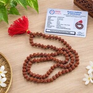 May include: A brown beaded mala necklace featuring round, textured rudraksha beads strung on a red cord with a matching red tassel. A white certification card from the Oceanic Institute of GemScience is included, detailing the natural origin.