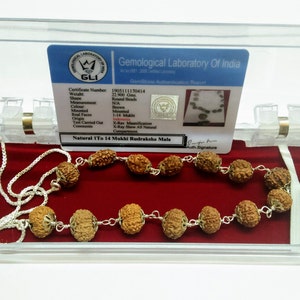 Rudraksha Siddha Mala 1 to 14 Mukhi with Gouri Shankar & Ganesh in Pure Silver
