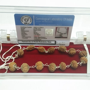 Rudraksha Siddha Mala 1 to 14 Mukhi with GouriShankar & Ganesh in Pure Silver