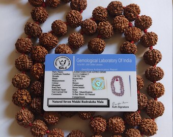 7 Mukhi Rudraksha Mala: Laxmi Siddha Mala, Nepal (55 Bead)