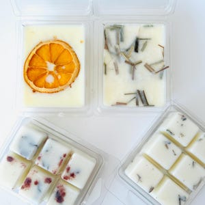 Strong Scented Soy Wax Melt Tarts/Botanical Wax Melts for Wax Warmers/Wax Melts Gift/Aromatherapy Home Fragrance /Aromatherapy SoyWax Tarts