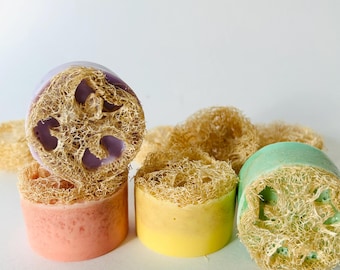 Goat Milk Loofah Soaps, Exfoliating Soap Bars/Loofah Soaps/Goat Milk Soap Bar/Spa Gift,Goat Milk Soap with Loofah,Gift Idea, Self Care Gift