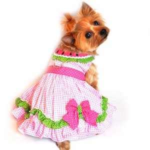 Watermelon Dog Dress with Matching Leash