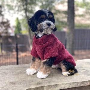 Dog Sweater Soft Plush Lightweight Pullover - Burgundy - Thick Warm Soft Small Dog Shirt Sweater - Dog Sweater Medium Dog - Size XS to 4XL