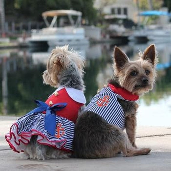 Dog and top girl matching outfits