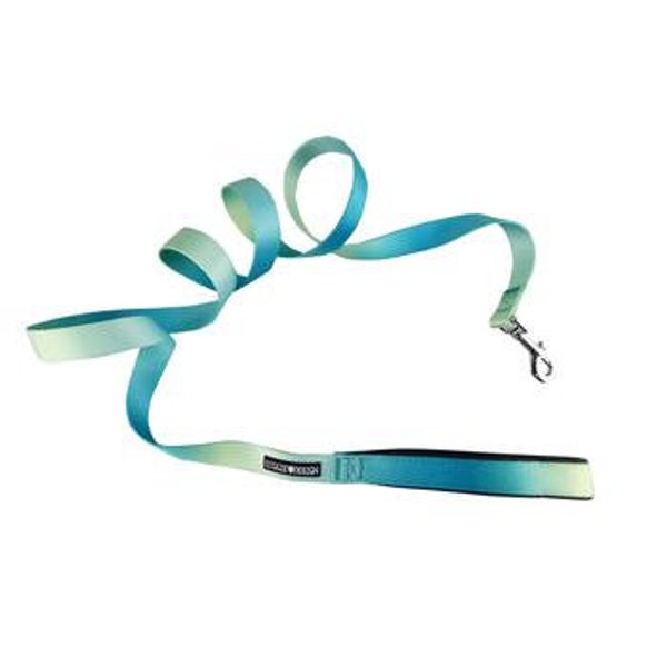 American River Ombre Dog Leash - Aruba Blue - Padded Soft Grip - Strong Clasp - 4 feet or 6 feet options