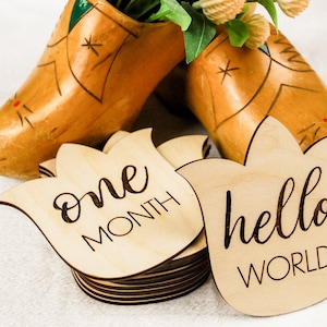 Baby Monthly Milestone Markers with Personalization, Engraved Tulip Monthly Markers, Baby Photo Props, Newborn and Birth Announcement, Dutch
