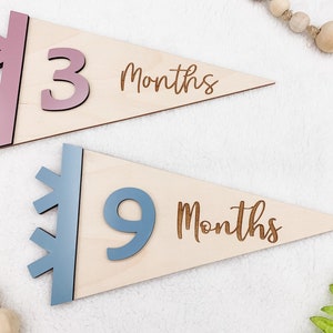 Fanions en bois marqueurs d'étape mensuelle pour photos de bébé | Cartes d'étape interchangeables en bois gravé | Panneau bébé personnalisé