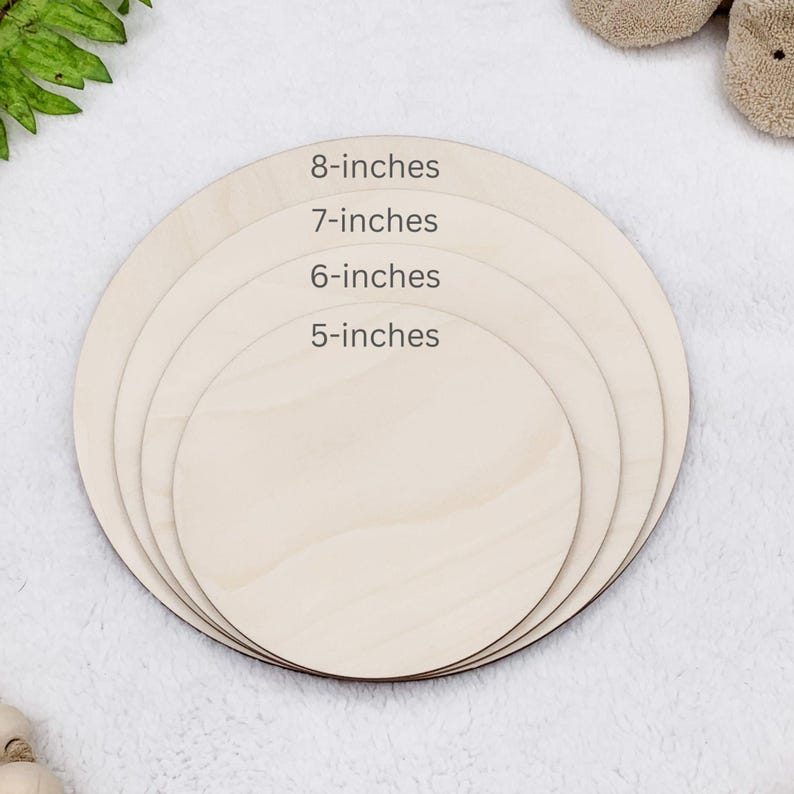 3D Monthly Milestone Discs for Baby Photos | Engraved Wood Monthly Milestone Markers | Personalized Baby Sign image 15