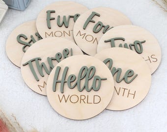 3D Monthly Milestone Discs for Baby Photos | Engraved Wood Monthly Milestone Markers | Personalized Baby Sign
