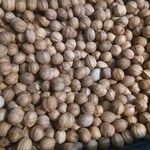 Nuts
