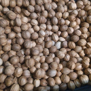 May include: A full frame shot of a pile of brown, round, and textured nuts. The nuts have a light brown color and a rough, wrinkled surface. The nuts are tightly packed together, filling the entire frame.