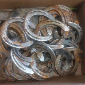 Bona fide Used Horseshoes of Various Shape and Size ~ Sold Individually ~ Don't be coy, Custom Orders available upon request