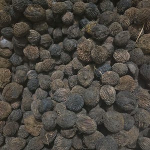 May include: A close-up shot of a pile of dark brown, textured nuts. The nuts have a rough, uneven surface and vary in size. The overall color palette is a mix of dark browns and blacks, creating a natural, earthy aesthetic. The image suggests a harvest or natural food product.