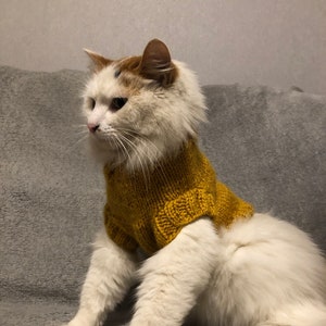 Pet sweater