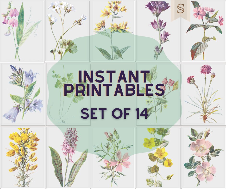 Set of 14 Printable Digital Wall Art. Vintage Botanics. | Etsy
