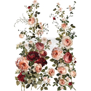 Könnte beinhalten: Florales Design mit Kletterrosen in Rot-, Rosa- und Pfirsichtönen, mit grünen Blättern und kleinen weißen Blüten. Die Anordnung ist vor einem weißen Hintergrund, wodurch eine Vintage-Ästhetik entsteht.