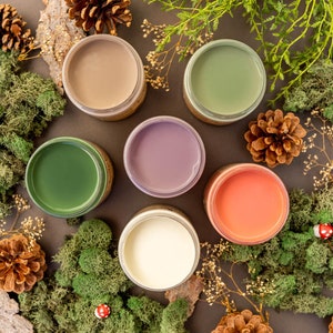 Pode incluir: Seis pequenos frascos de tinta em várias cores, incluindo verde, roxo, laranja, bege, branco e um verde mais escuro. Os frascos estão dispostos em um círculo sobre uma superfície marrom, cercados por pinhas, musgo e pequenas flores brancas.