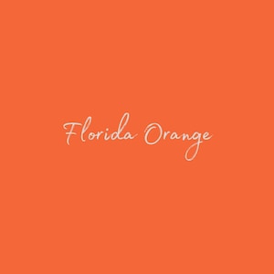 May include: Solid orange background with the text "Florida Orange" in white cursive writing.