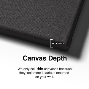 May include: A close-up of a black canvas with a white border. The canvas is 0.75 inches deep. The text "Canvas Depth" is written in white below the canvas. The text "We only sell thin canvases because they look more luxurious mounted on your wall." is written in white below the text "Canvas Depth".