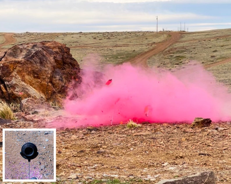 Gender Reveal Target Clay Pigeon Skeet Shooting Target in Etsy