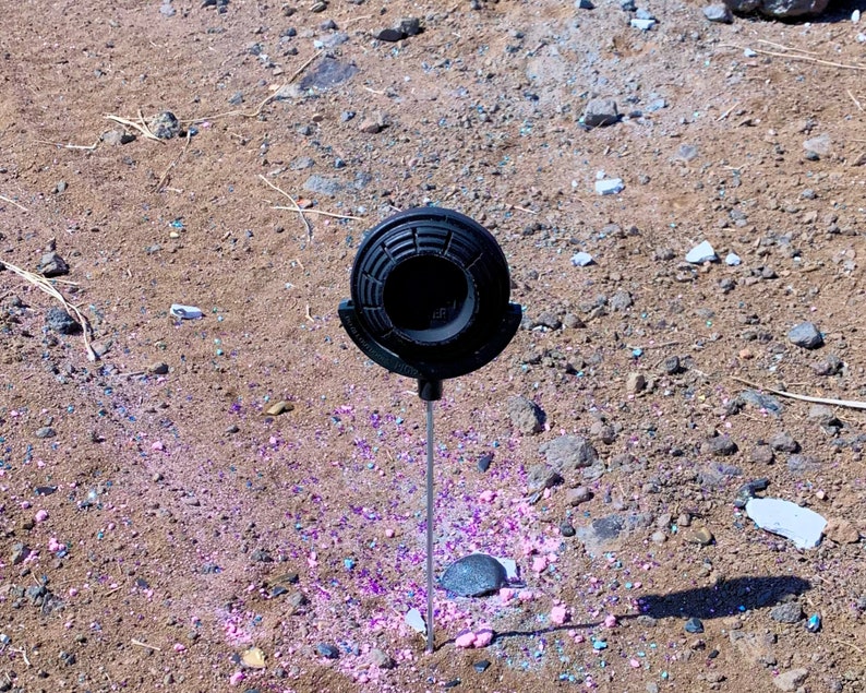 Gender Reveal Target Clay Pigeon Skeet Shooting Target in Etsy