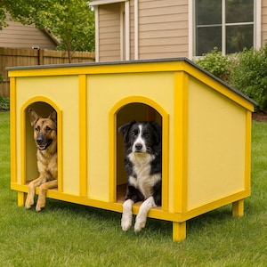 Puede incluir: Una caseta para perros amarilla con dos entradas arqueadas. Un pastor alemán y un Border Collie están dentro. La caseta está sobre un césped verde.