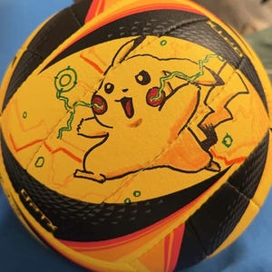 Kundenspezifische Volleyball-Kunst