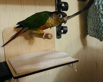 Wall mounted potty training perch with paper towel insert spots