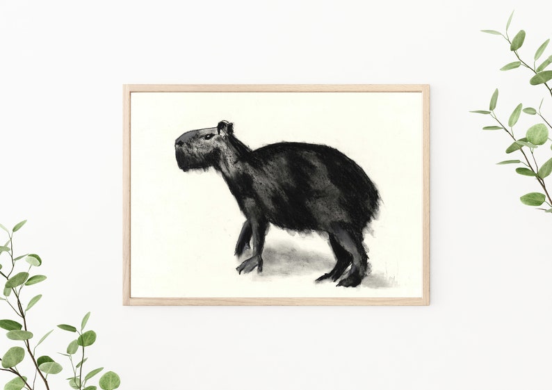 Capybara art print fine art print black and white print animal art A1 A2 A3 A4 A5