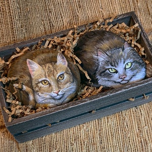 Puede incluir: Dos rocas de gato pintadas a mano descansan en una caja de madera r&uacute;stica llena de papel triturado. Un gato es marr&oacute;n y canela con ojos amarillos, el otro es gris y marr&oacute;n con ojos verdes. La caja est&aacute; te&ntilde;ida de gris oscuro.