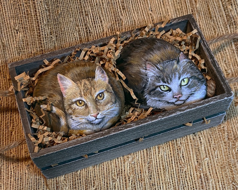Puede incluir: Dos rocas de gato pintadas a mano descansan en una caja de madera r&uacute;stica llena de papel triturado. Un gato es marr&oacute;n y canela con ojos amarillos, el otro es gris y marr&oacute;n con ojos verdes. La caja est&aacute; te&ntilde;ida de gris oscuro.