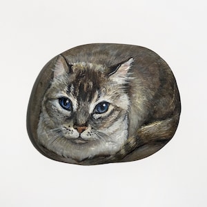 Puede incluir: Una piedra pintada a mano que representa un gato con ojos azules y pelaje gris y marr&oacute;n. El gato est&aacute; acurrucado, con la cabeza y la cara en el centro de la piedra. La piedra tiene forma ovalada y est&aacute; sobre un fondo blanco.
