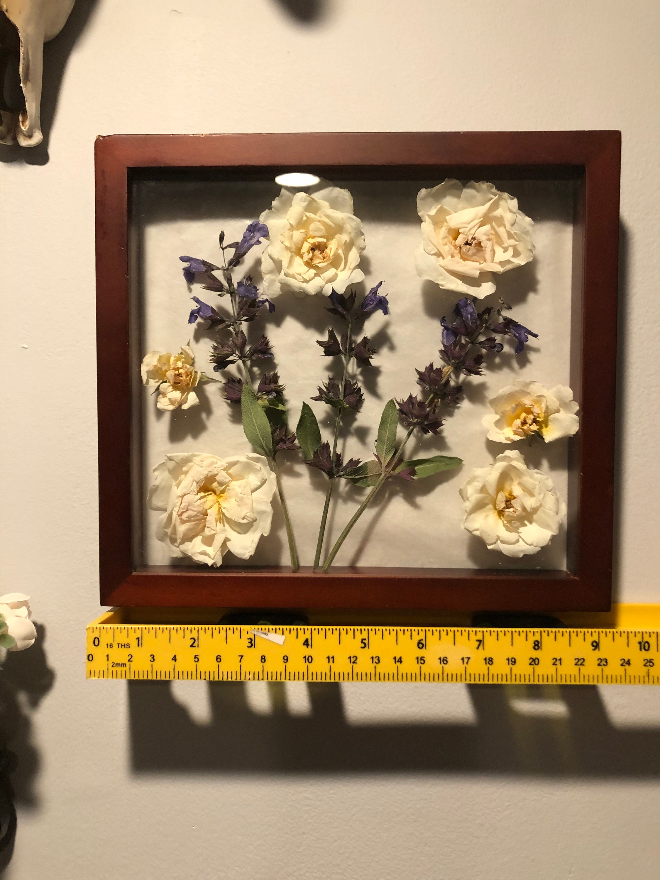 Beautiful Framed Dried Flowers/Wall Art Etsy